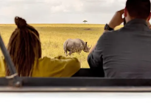 Masai Mara Serengeti Migration Safari Guide